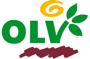 OLV-Verlag